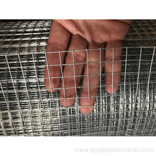 1/2 Galvanized Bird Cage Welded Wire Mesh